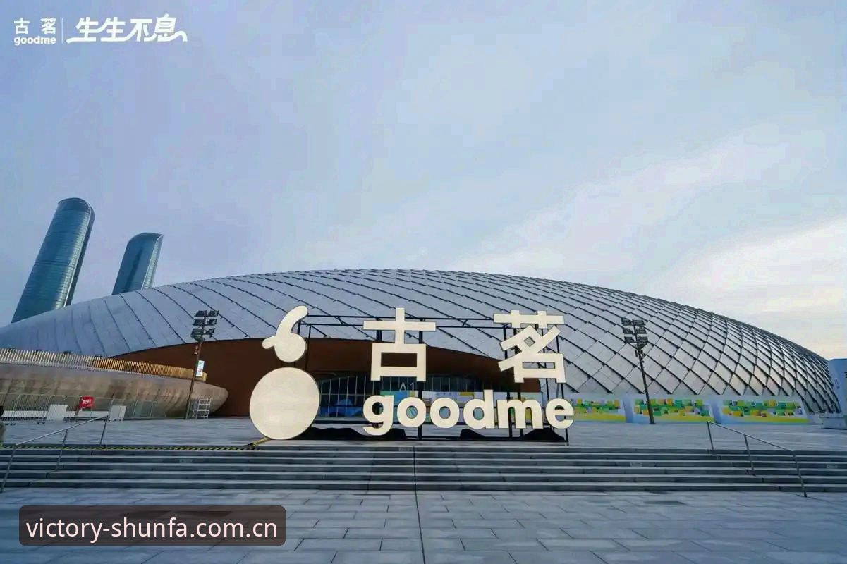 顺发体育最新版下载实用指南：从安装到流畅看赛的全流程解决方案